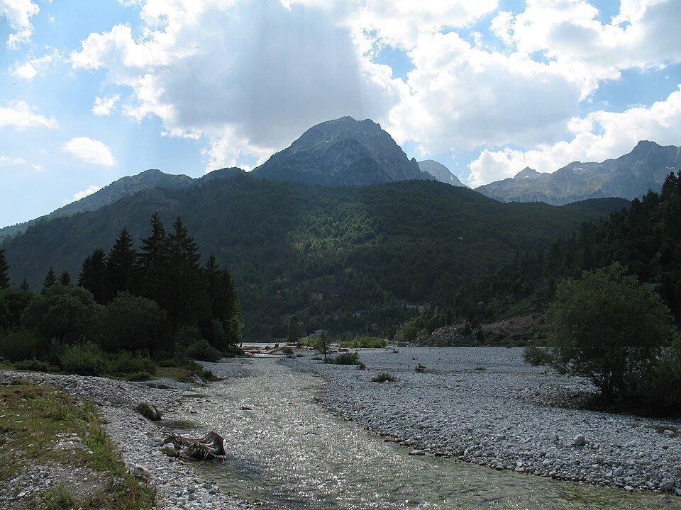 Tomorr National Park Endemic Balkan Flora & Pine Forest Ecology
