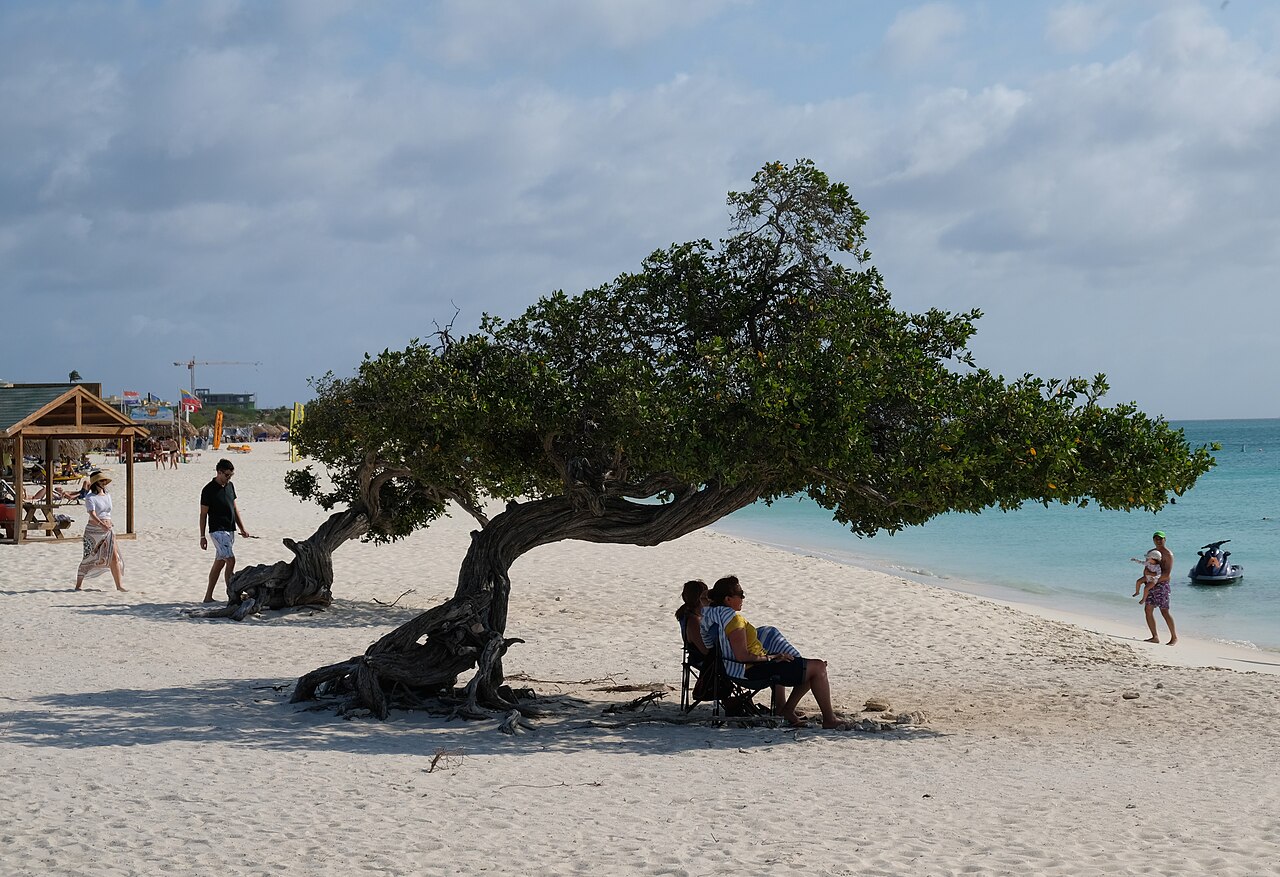 Aruba (Netherlands)