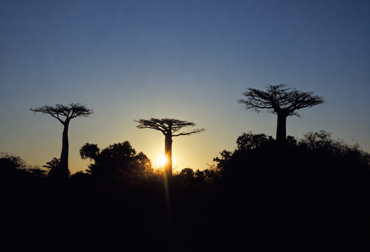 Madagascar
