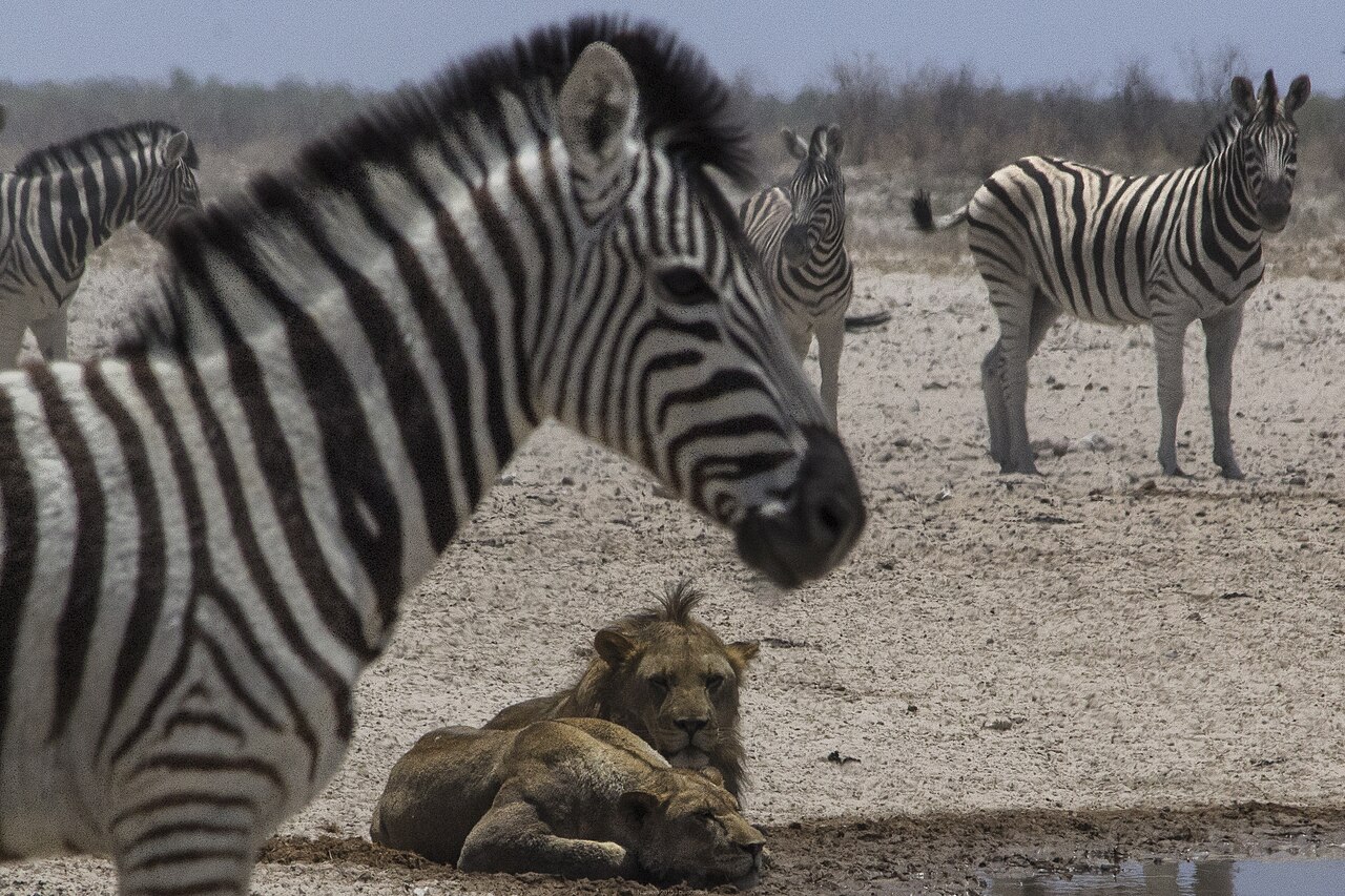 Namibia