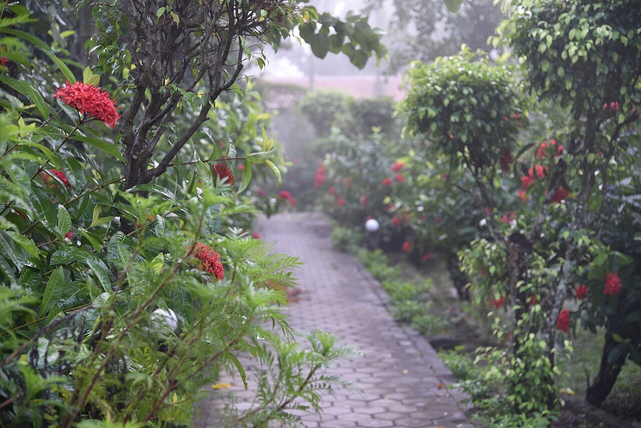 Meghauli Serai Taj Safari Lodge