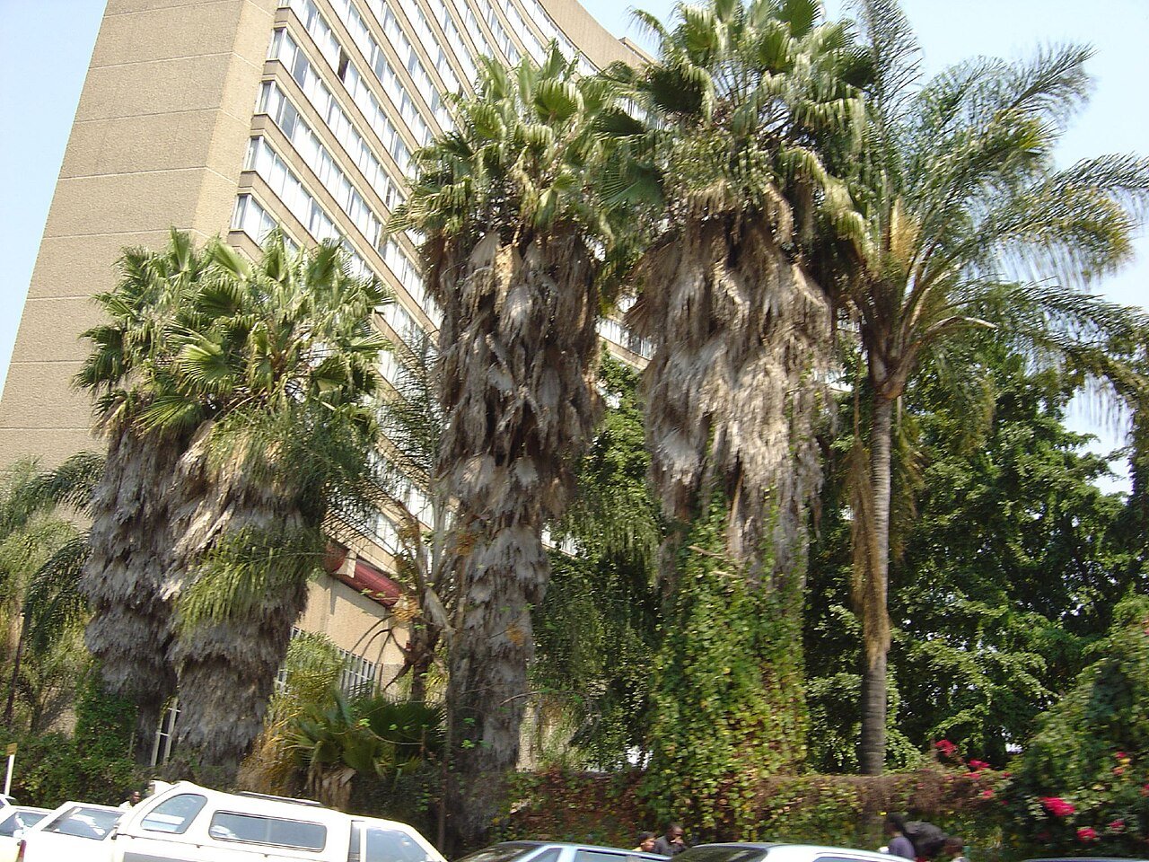 The Victoria Falls Hotel Legendary 1904 Palace