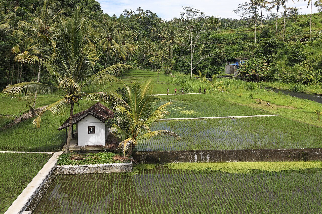 Bali (Ubud & Seminyak)