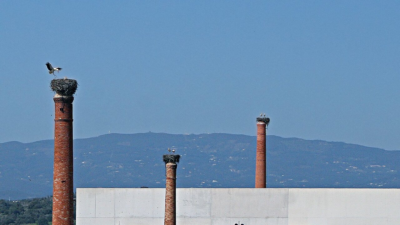 Faro & Algarve