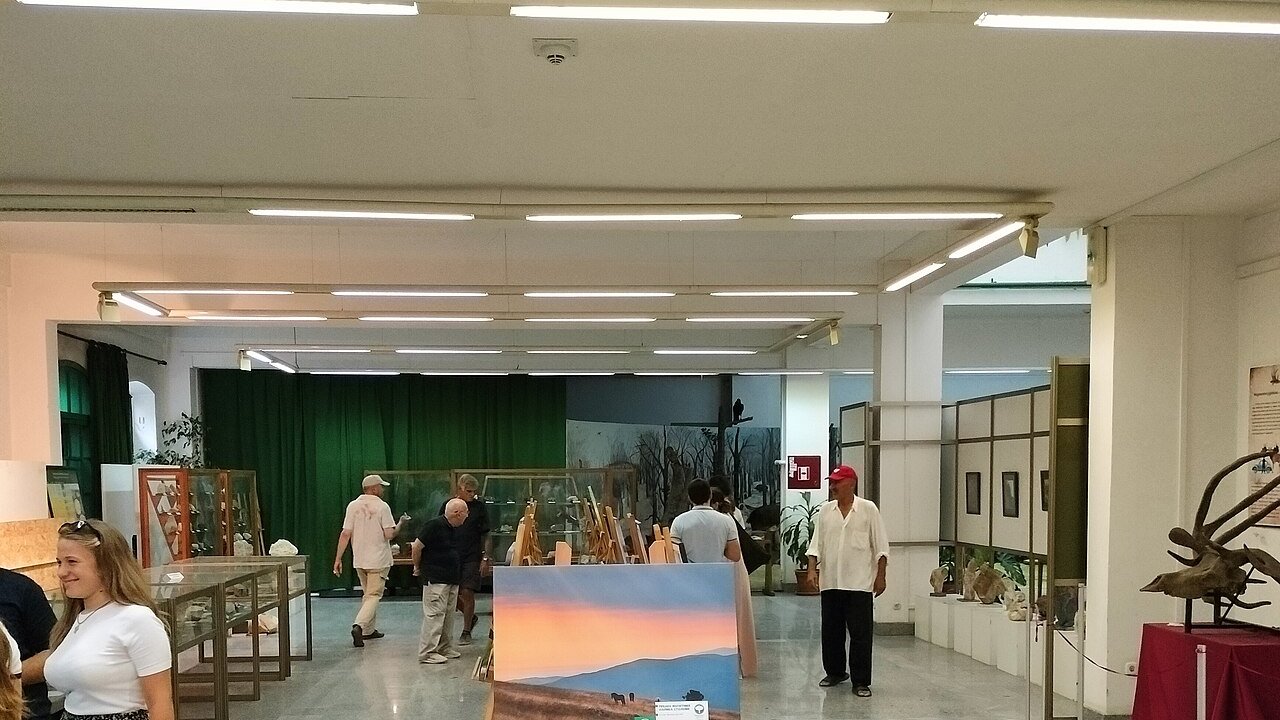 Novi Sad